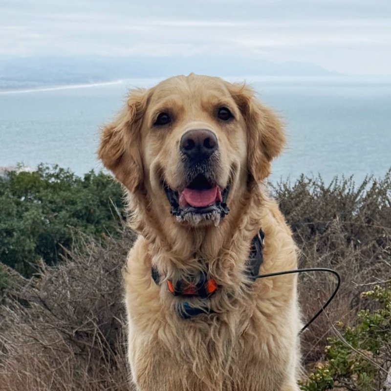Yukon