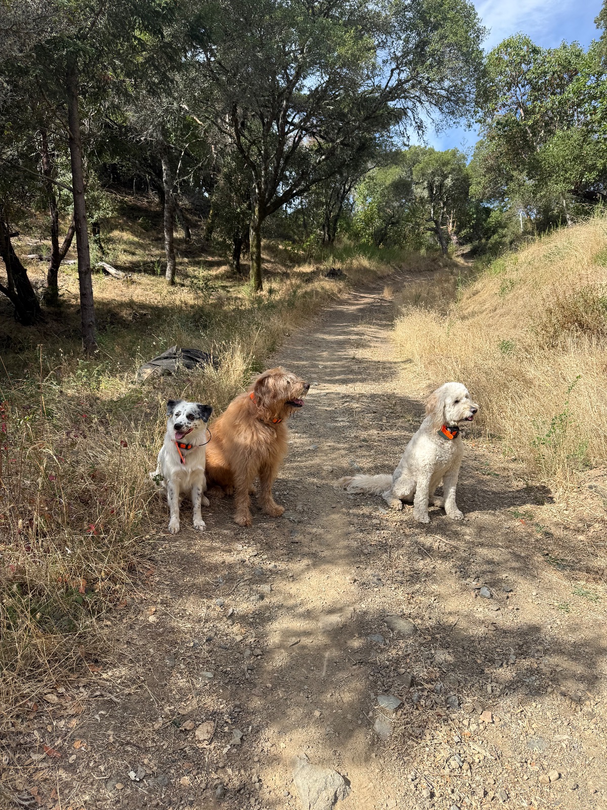 Hike report, Fri, Sep 25 · Baltimore Canyon · 4 mi · with Andy