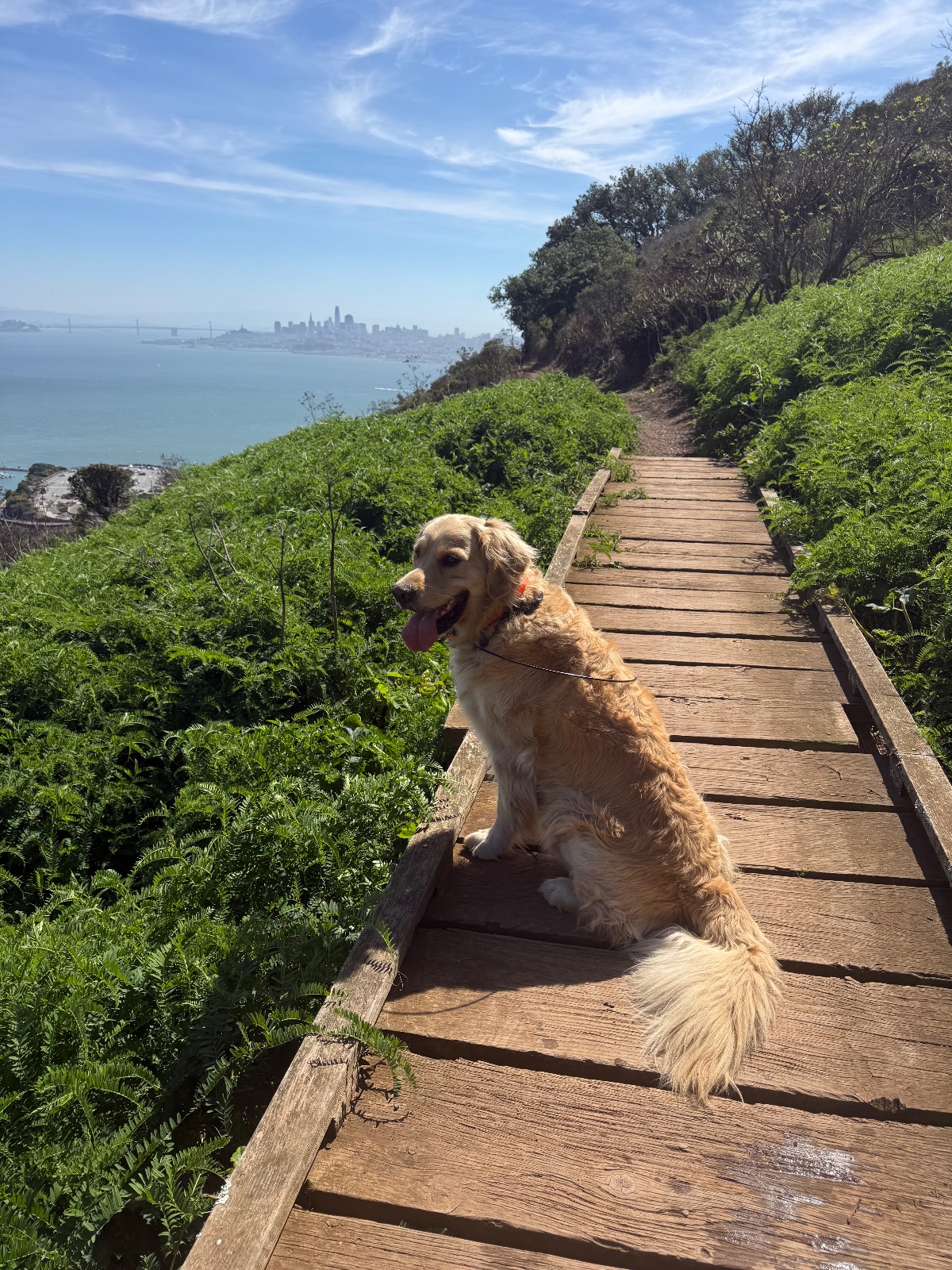 Hike report, Thu, Sep 24 · Coastal Trail · 4 mi · with Andy